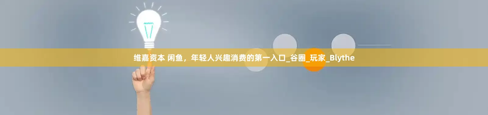 维嘉资本 闲鱼，年轻人兴趣消费的第一入口_谷圈_玩家_Blythe